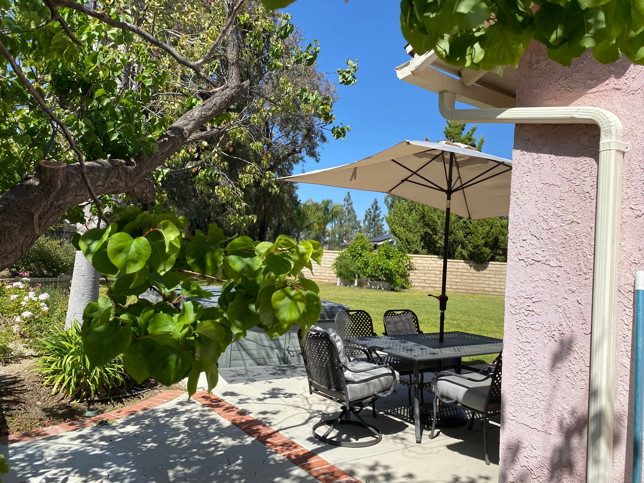 Outdoor coffee and morning pastries